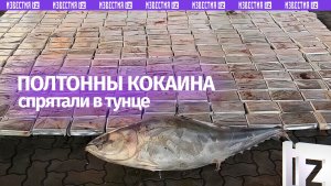 Полтонны кокаина спрятали в тунце и привезли из Эквадора в Петербург