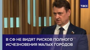 В СФ не видят рисков полного исчезновения малых городов