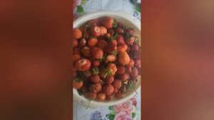 Засахариваю ягоды🍓🍓🍓