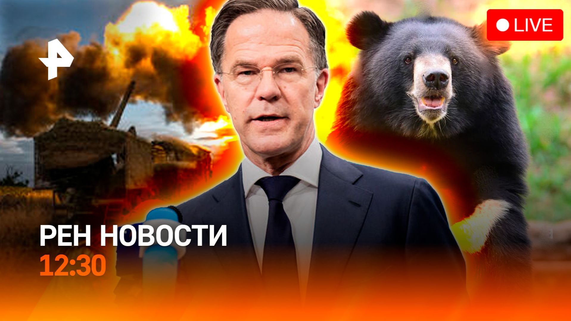 Украину хотят оставить без помощи ЕС / Медведь во Владивостоке / РЕН Новости 1.07, 12:30 смотреть онлайн
