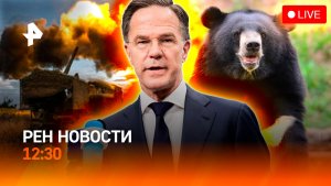 Украину хотят оставить без помощи ЕС / Медведь во Владивостоке / РЕН Новости 1.07, 12:30