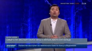 Смена логотипа на специальный к Народную Конституцию (Atameken Business (Казахстан), 01.07.2026)