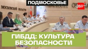 «Продвижение безопасности»: ГИБДД Подмосковья присоединилось к просветительской кампании