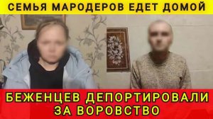 НЕМЦЫ УСТАЛИ ТЕРПЕТЬ❗
