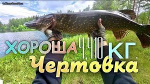 Таежная речушка порадовала. #рыбалка