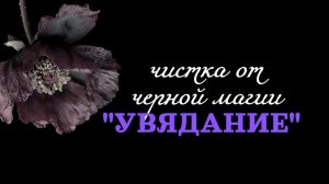 ЧИСТКА ОТ «УВЯДАНИЯ» 01.07.2026