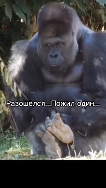 01-07-2026 смотреть онлайн