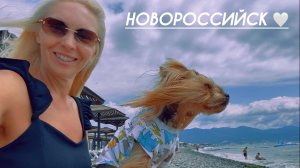 Новороссийск//Техосмотр и морской бриз