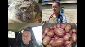 Утро в деревне.Упаковываю котлеты и Иван чай.Косим траву . Свежая картошка.