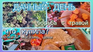 Дачный день//что купила? Цены🤷 //борьба с травой