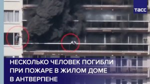 Несколько человек погибли при пожаре в жилом доме в Антверпене