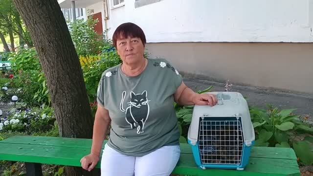 Операция стерилизация прошла успешно. смотреть онлайн