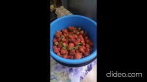 Вячеслав Гаранин приехал к родителям