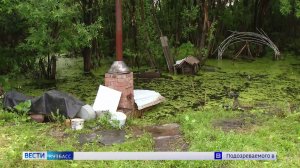 Болото вместо огорода: жители деревни Красная просят решить многолетнюю проблему