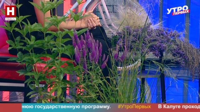Надежда Назаренко. Садовые тренды-2026 | УТРО ПЕРВЫХ