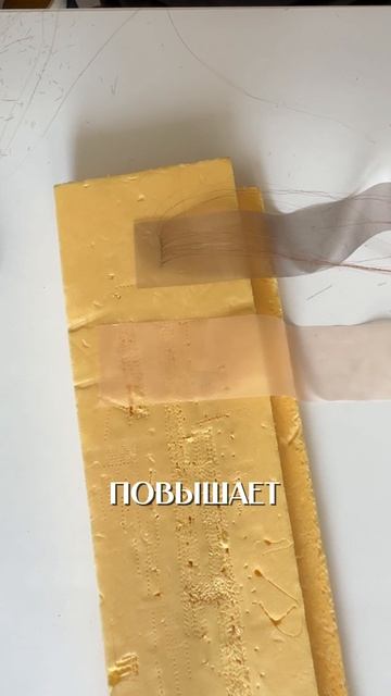 Биоленты обучение