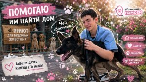 🐕 «Эта собака вообще чудо»! Бездомные животные ищут свой дом
