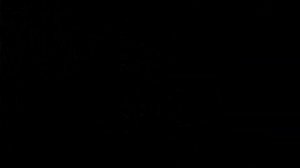 ZIF E7