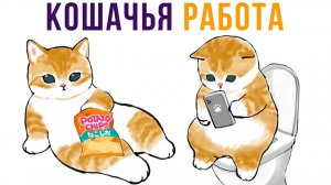 Кошачья работа) Приколы с котами