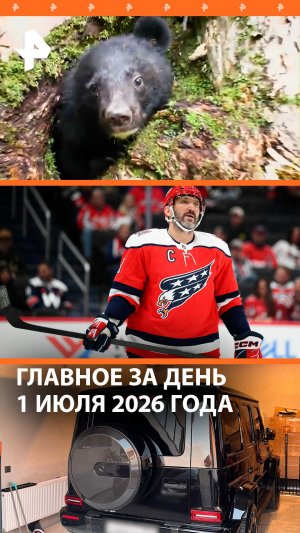 Медведь бегал по Владивостоку / Судьба Овечкина в США / ДАЙДЖЕСТ РЕН ТВ: Главное за день
