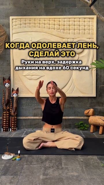 Когда одолевает лень