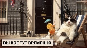 Русофобские саммиты / Кот Ларри проводил Стармера / Поляки плюнули в ответ