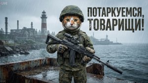 Тарков ждет!