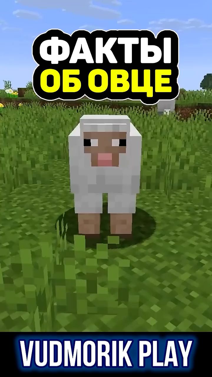 Что скрывают овцы в Minecraft? #17