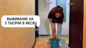 ЖИВЕМ МЕСЯЦ НА 3000 РУБЛЕЙ | архив