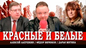 Политическая палитра России, или Какими красками рисовать будущее | Митина | Лапушкин | Бирюков