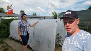 Потрудились в огороде. Испекли пирог и приготовили плов с курицей
