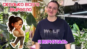 Пол года спустя: как изменилась цветочная комната? Мои новинки.