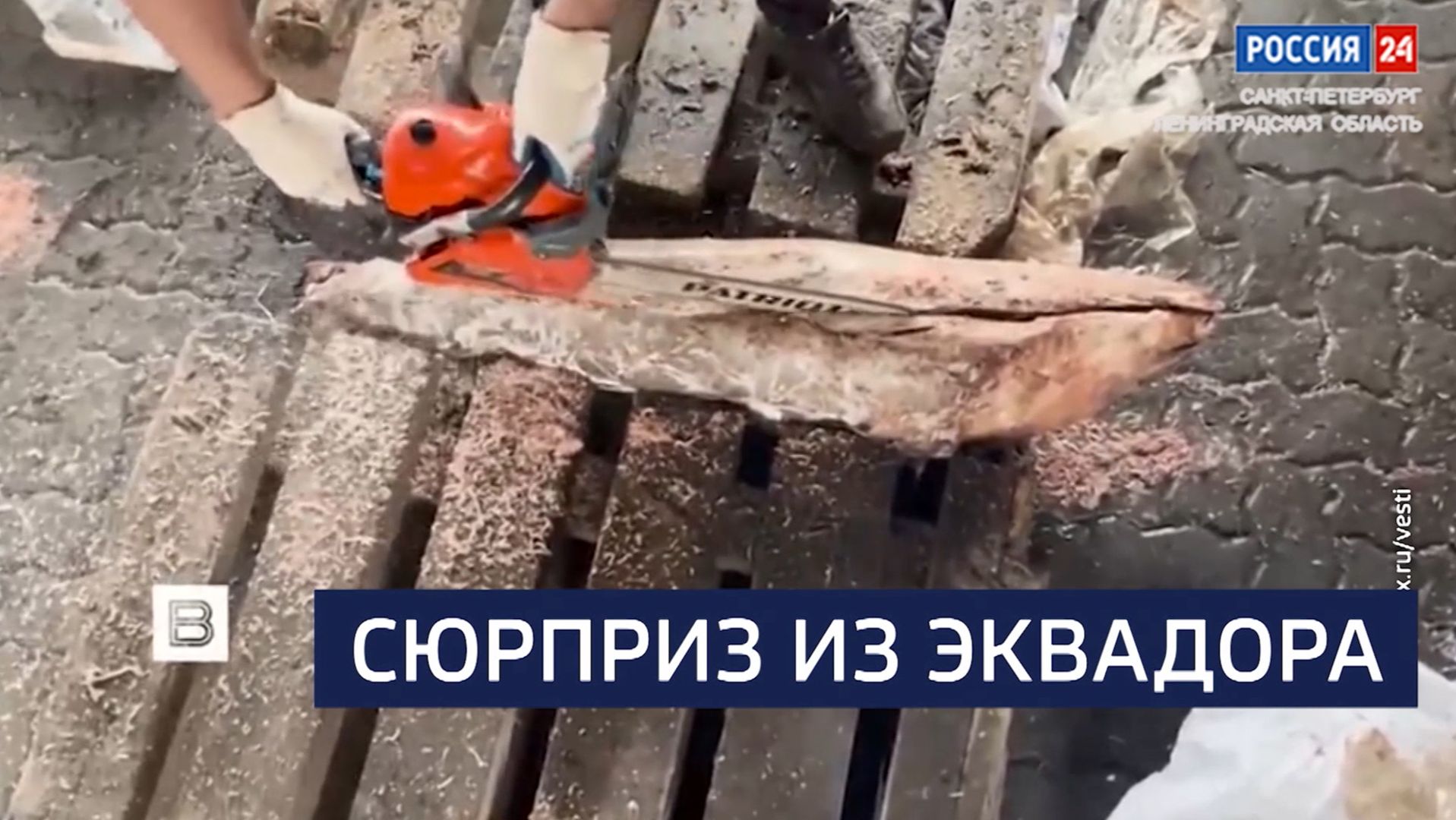 ВЕСТИ 24 Санкт-Петербург от 01.07.2026 смотреть онлайн