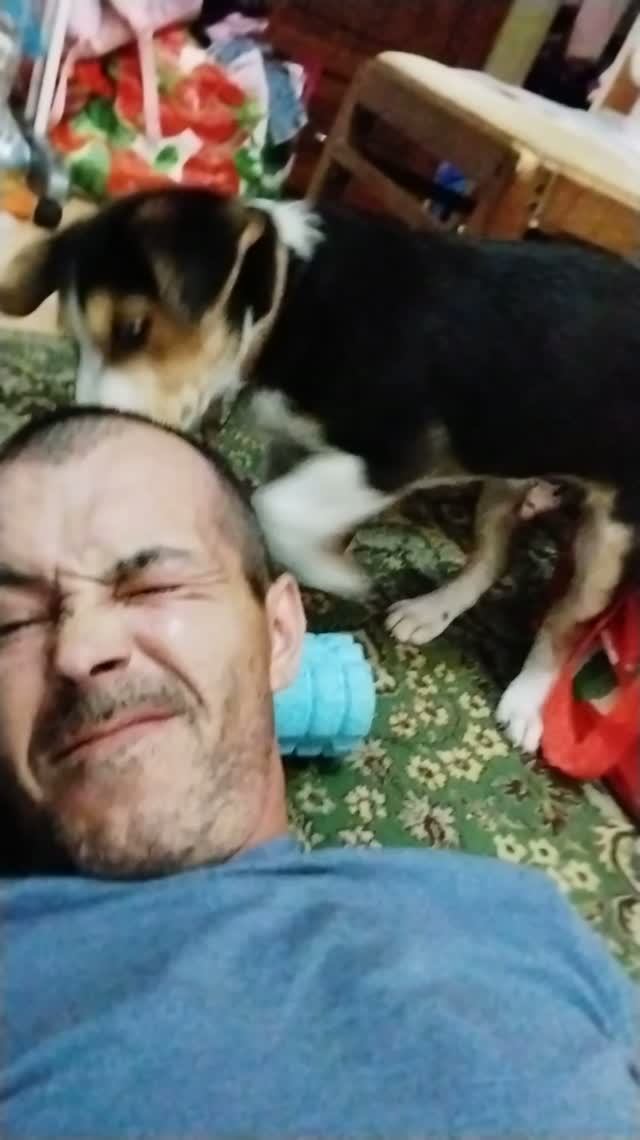 А тебя так облизывала собака? 😂🥳🥳