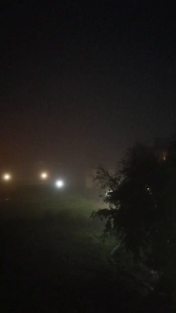 Ночной туман