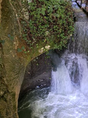 Вода