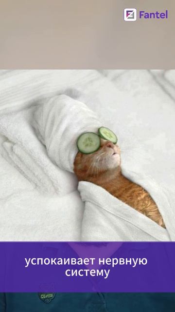 Добавки для сна, которые работают ✅