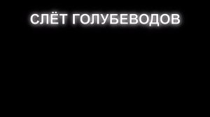Очередной слёт голубеводов г Узловая.