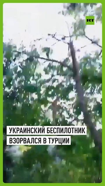 Украинский БПЛА со взрывчаткой упал в Турции и сдетонировал смотреть онлайн