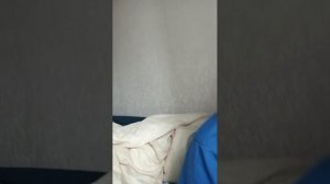 говорим
