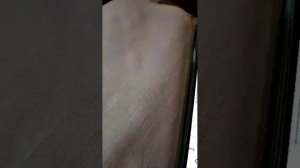 Транспорты в разных городах
