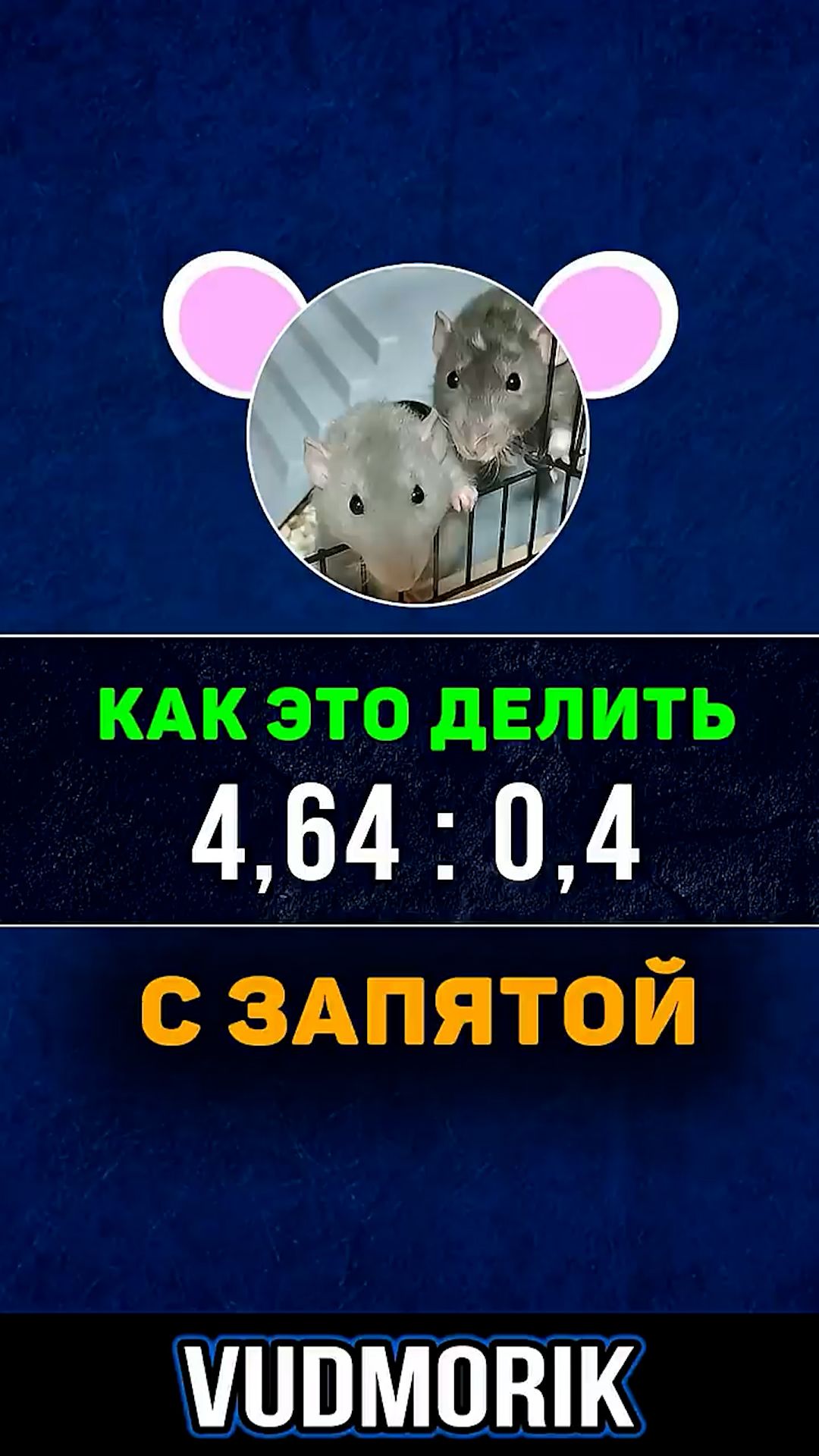 Как делить числа с запятой? Десятичные числа или же не целые