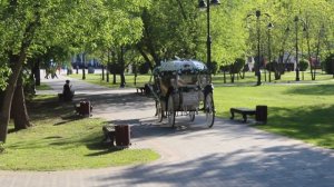 14. Карета