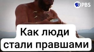 Как люди стали (в основном) правшами