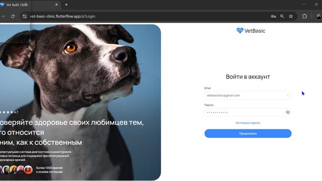 вход в Vet Basic