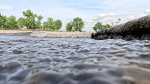 Волны на реке Нева