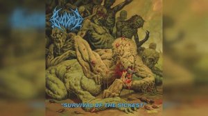 04 - Malignant Maggot Therapy (BLOODBATH)