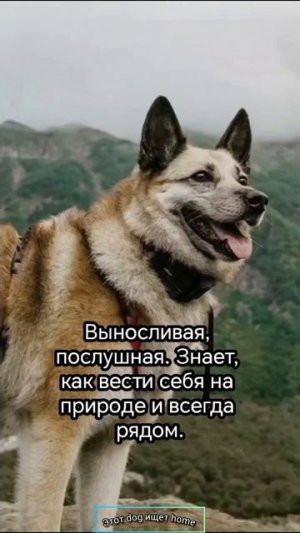 Если найду, не потеряю