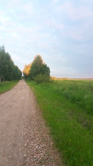 Вечерний пейзаж с птицей