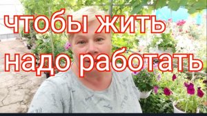 294🏡Работаю на себя/Дождик только напугал/Жду мужа